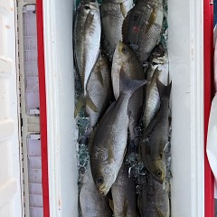 5月 29日（金）午後・アジ、イサキ釣りの写真その10