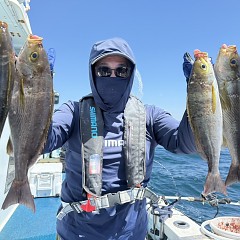 5月 30日（土）午前便・アジ、イサキ釣りの写真その3