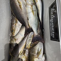 5月 30日（土）午前便・アジ、イサキ釣りの写真その9