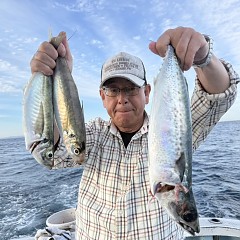 5月 30日（土）午後便・アジ、イサキ釣りの写真その6