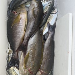 5月 30日（土）午後便・アジ、イサキ釣りの写真その8