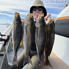 5月30日（土）午後便・イサキ・アジ釣りの写真その2