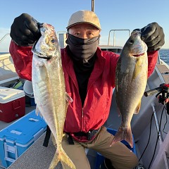 5月31日（日）午後便・イサキ・アジ釣りの写真その3