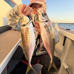 5月31日（日）午後便・イサキ・アジ釣りの写真その6