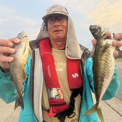 6月 1日（月）午後便・アジ、イサキ釣りの写真その1