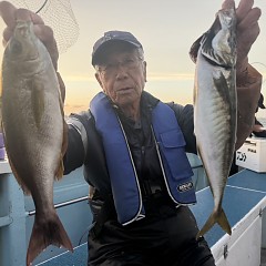 6月 1日（月）午後便・アジ、イサキ釣りの写真その2