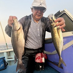 6月 1日（月）午後便・アジ、イサキ釣りの写真その4