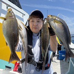 6月 1日（月）午前便・アジ、イサキ釣りの写真その1