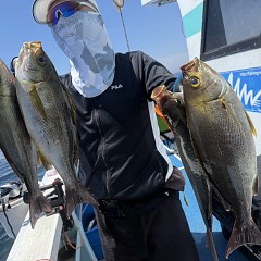 6月 1日（月）午前便・アジ、イサキ釣りの写真その2