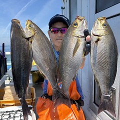 6月 1日（月）午前便・アジ、イサキ釣りの写真その3