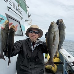 6月 5日（金）午後便・アジ、イサキ釣りの写真その1