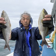 6月 5日（金）午後便・アジ、イサキ釣りの写真その3
