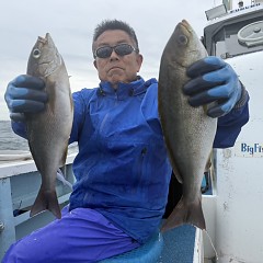 6月 5日（金）午後便・アジ、イサキ釣りの写真その5
