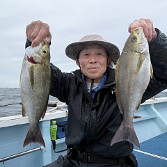 6月 5日（金）午後便・アジ、イサキ釣りの写真その6
