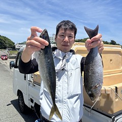 6月 1日（月）午前便・アジ、イサキ釣りの写真その11
