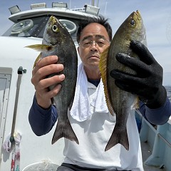 6月 6日（土）午前便・イサキ釣りの写真その3