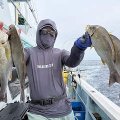 6月 6日（土）午後便・イサキ釣りの写真その4