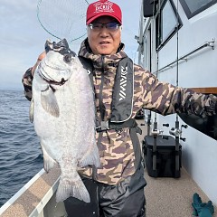6月6日(土)午前便・イシダイ釣りの写真その3
