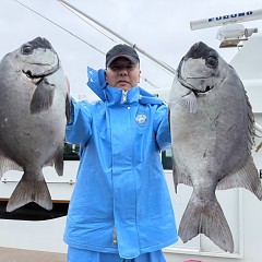 6月7日(日)午前便・イシダイ釣りの写真その2