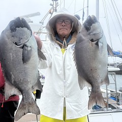 6月7日(日)午前便・イシダイ釣りの写真その3