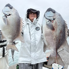 6月7日(日)午前便・イシダイ釣りの写真その4