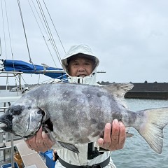 6月7日(日)午前便・イシダイ釣りの写真その6