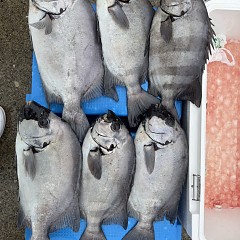 6月7日(日)午前便・イシダイ釣りの写真その9