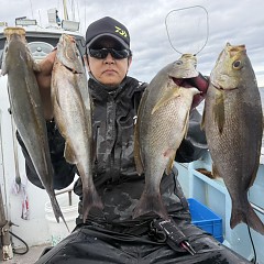 6月 8日（月）午後便・イサキ釣りの写真その3
