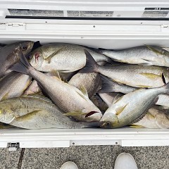 6月 8日（月）午後便・イサキ釣りの写真その9