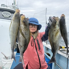 6月 9日（火）午前便・イサキ釣りの写真その1