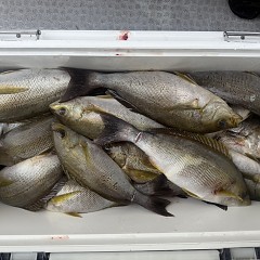 6月 9日（火）午前便・イサキ釣りの写真その10