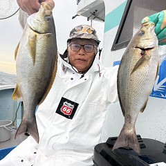 6月 9日（火）午後便・イサキ釣りの写真その4