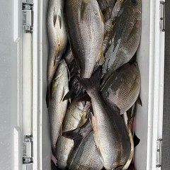6月 9日（火）午後便・イサキ釣りの写真その11