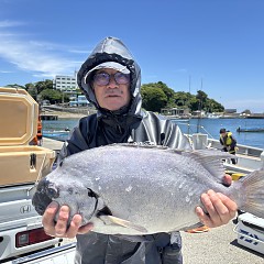 6月10日（水）午前便・イシダイ釣りの写真その4