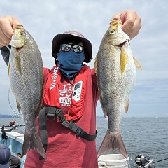 6月 11日（木）午前便・イサキ釣りの写真その1