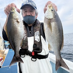 6月 11日（木）午後便・イサキ釣りの写真その7