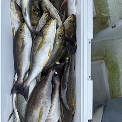 6月 13日(土)午前便・イサキ釣りの写真その8