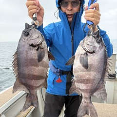 6月 13日（土）午前便・イシダイ釣りの写真その5