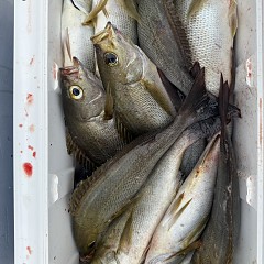 6月 14日（日）午前便・イサキ釣りの写真その9