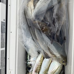 6月 14日（日 午後便・イサキ釣りの写真その11