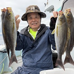 6月 16日（火）午後便・イサキ釣りの写真その3