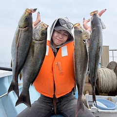 6月 16日（火）午前便・イサキ釣りの写真その4