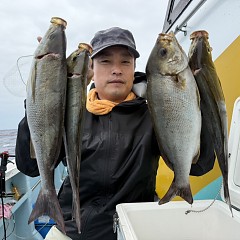 6月 17日（水）午前便・イサキ釣りの写真その1