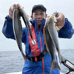 6月 17日（水）午前便・イサキ釣りの写真その6