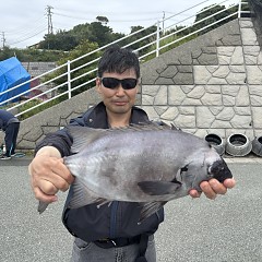 6月17日（水）午前便・イシダイ釣りの写真その2
