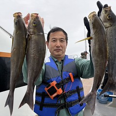 6月17日（水）午後便・イサキ釣りの写真その2