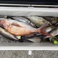 6月17日（水）午後便・イサキ釣りの写真その11