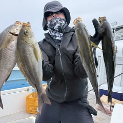 6月 18日(木)午前便・イサキ釣りの写真その1