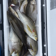 6月 18日（木）午後便・イサキ釣りの写真その9