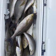 6月 18日（木）午後便・イサキ釣りの写真その1